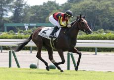 【新潟１Ｒ・２歳未勝利】単勝１・１倍クライスレリアーナが５馬身差圧勝　ルメール騎手「ずっと余裕」