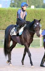 【小倉記念】トップハンデのディープモンスターは万全の仕上がり　８枠１１番にも陣営「競馬しやすいと思います」