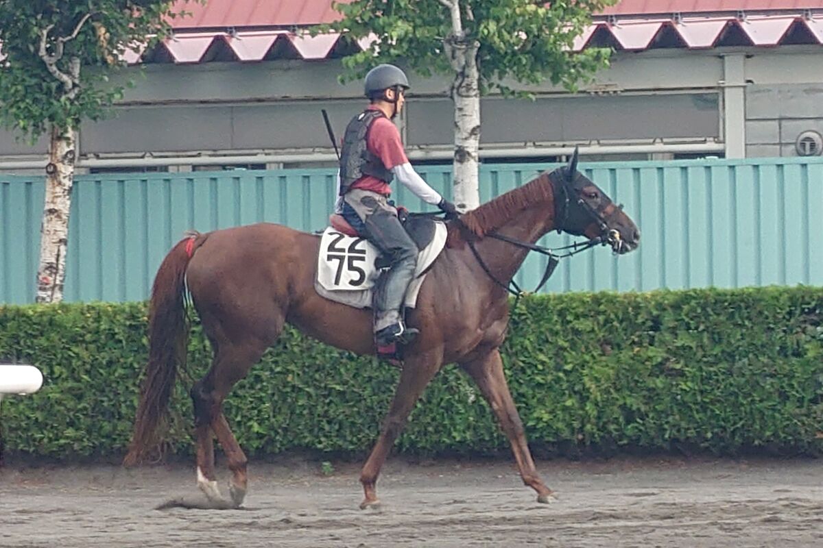 土曜札幌競馬場の注目激走馬…札幌１１Ｒ報知杯大雪ハンデキャップ