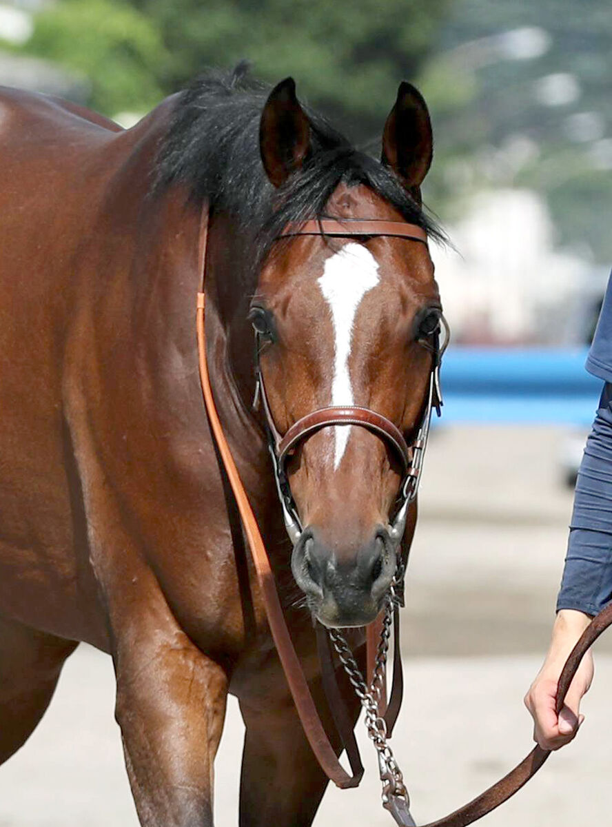 【札幌記念・イシゴーの特注馬】前走は度外視できるチャックネイト　洋芝で改めて期待