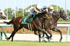 【小倉記念】遅咲き６歳馬がコースレコードＶ！連覇の川田将雅騎手「重賞を勝ち切れたことを褒めてあげたい」