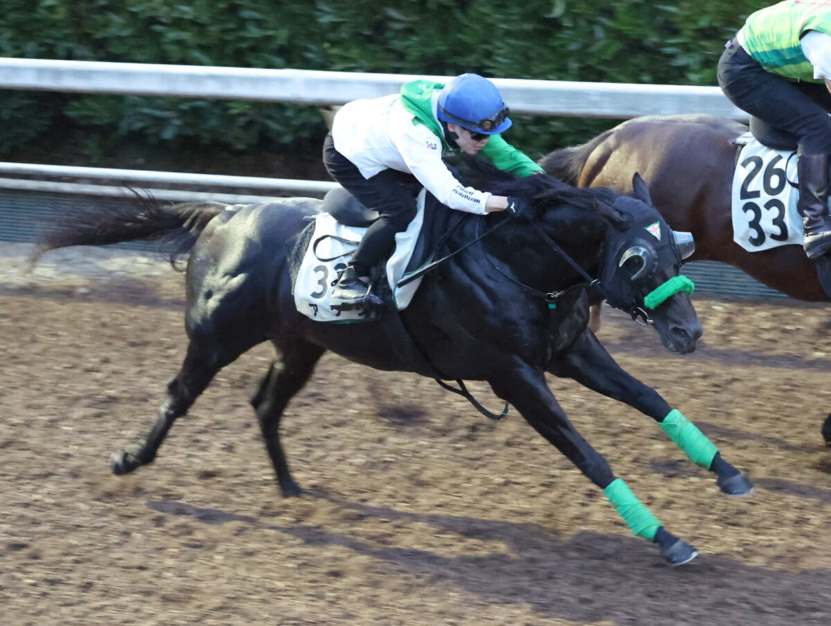 【ＣＢＣ賞・玉木の特注馬】快足アグリが転厩初戦を迎える　杉山晴調教師「気になるところはありません」