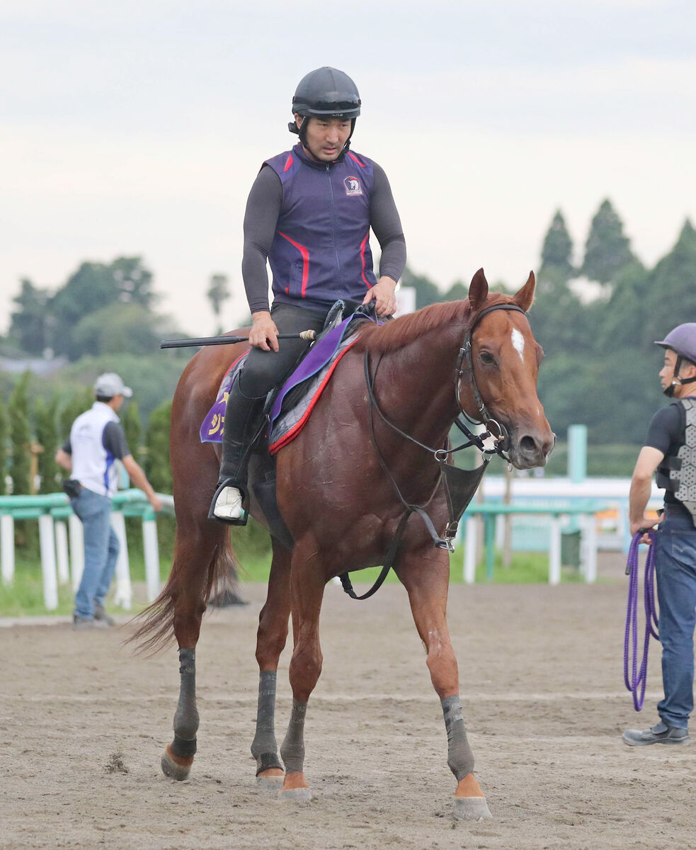 【札幌記念】皐月賞馬ジオグリフは強敵相手の前２走で善戦　陣営「気持ちが途切れずに走る競馬が続いている」