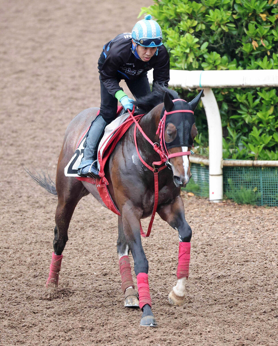 【ＣＢＣ賞】京王杯ＳＣ３着のスズハロームが重賞初制覇へ　牧田調教師「重賞でもやれる力がある」