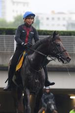 【札幌記念】ノースブリッジが岩田康誠騎手を背に札幌で馬場入り　奥村武調教師「馬自体が良くなっている」