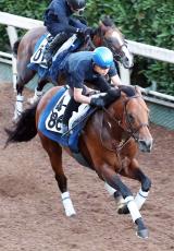 【ＣＢＣ賞】２連勝中キタノエクスプレスが重賞初挑戦　坂口調教師「芝で差す競馬を覚えたのが大きい」