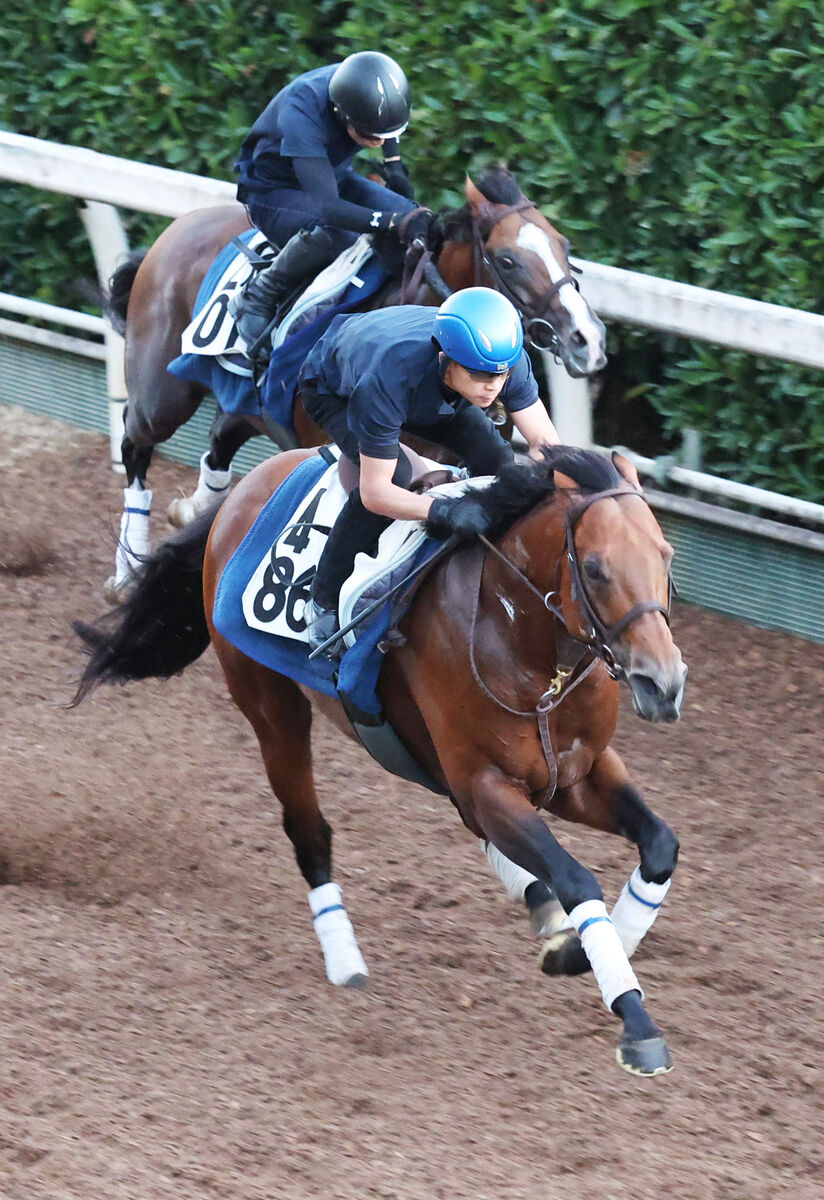 【ＣＢＣ賞】今年１月に芝挑戦で好調の「超特急」が初タイトル目指す