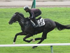 【札幌記念】昨年の２着馬トップナイフが朝一番に芝コース単走で上昇ムード　昆調教師「もともと能力の高い馬」