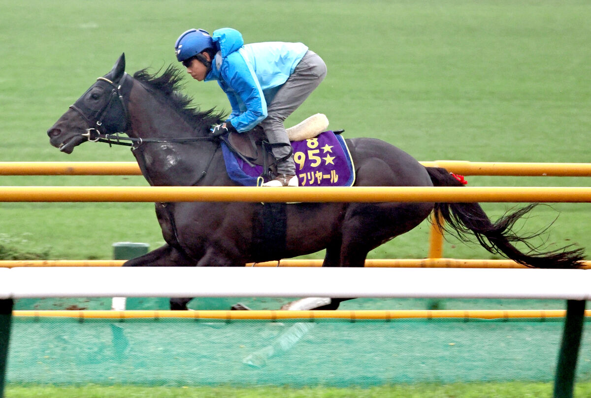 【札幌記念】復活Ｖ狙うシャフリヤールは余力十分に先着　陣営「時計以上の負荷がかかっている」