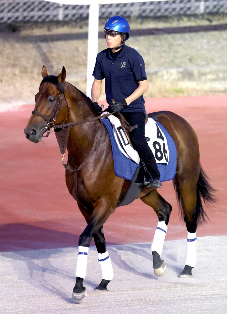 【ＣＢＣ賞】２連勝中のキタノエクスプレスが坂路で豪快　坂口調教師「スピードの持続力がある」