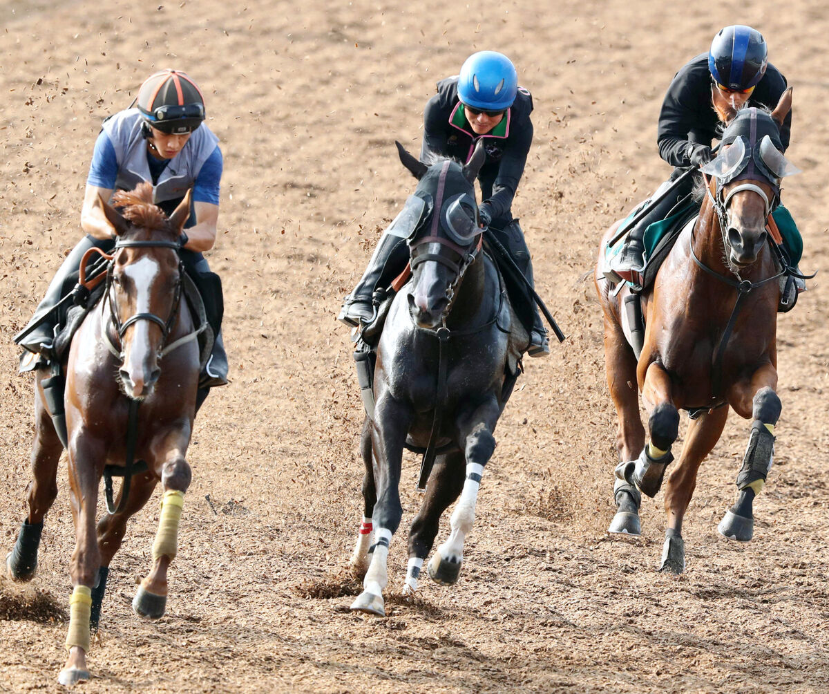 【注目馬動向】スターウェーブが新潟２歳Ｓへ１週前追い切り　武井調教師「今回はメンタルがいい」