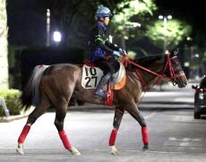 【ＣＢＣ賞】スズハロームは坂路で鋭伸　初のスプリント戦に牧田調教師「１２００メートルにも対応できる」