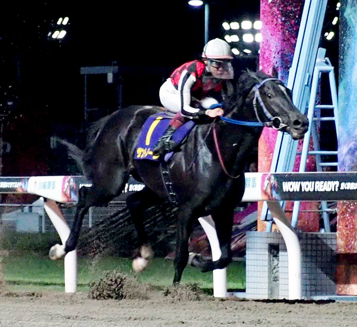 【川崎競馬・戸塚記念（４日）】サントノーレ６馬身差楽勝　骨折明け何の