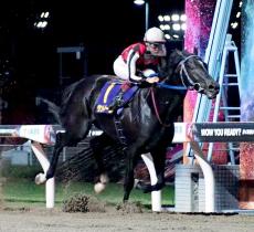 【川崎競馬・戸塚記念（４日）】サントノーレ６馬身差楽勝　骨折明け何の