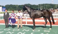 【園田競馬】ＪＲＡ交流・甲山特別は永島まなみ騎乗クアトロジャックが勝つ「最後まで頑張ってくれました」