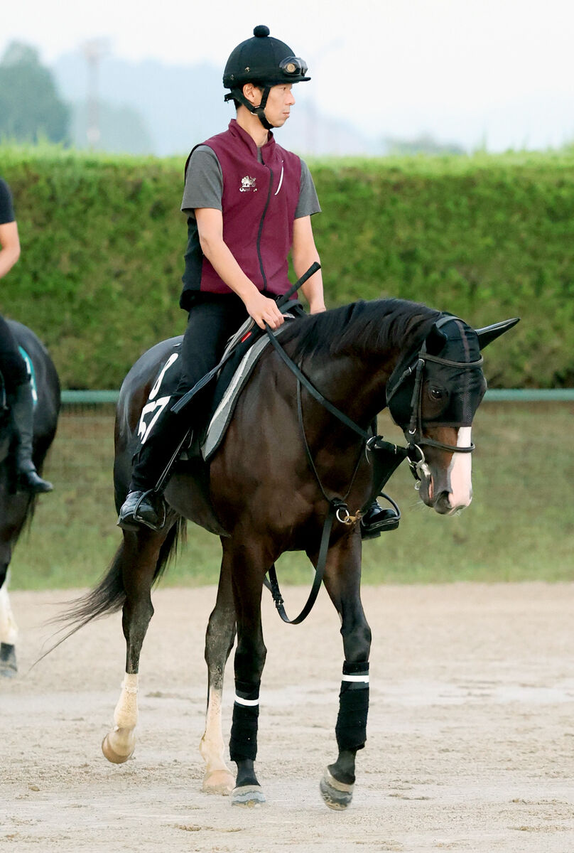 【紫苑Ｓ】連勝中の良血馬２頭が秋の主役へ名乗り　秋華賞の権利獲得へ態勢は整った