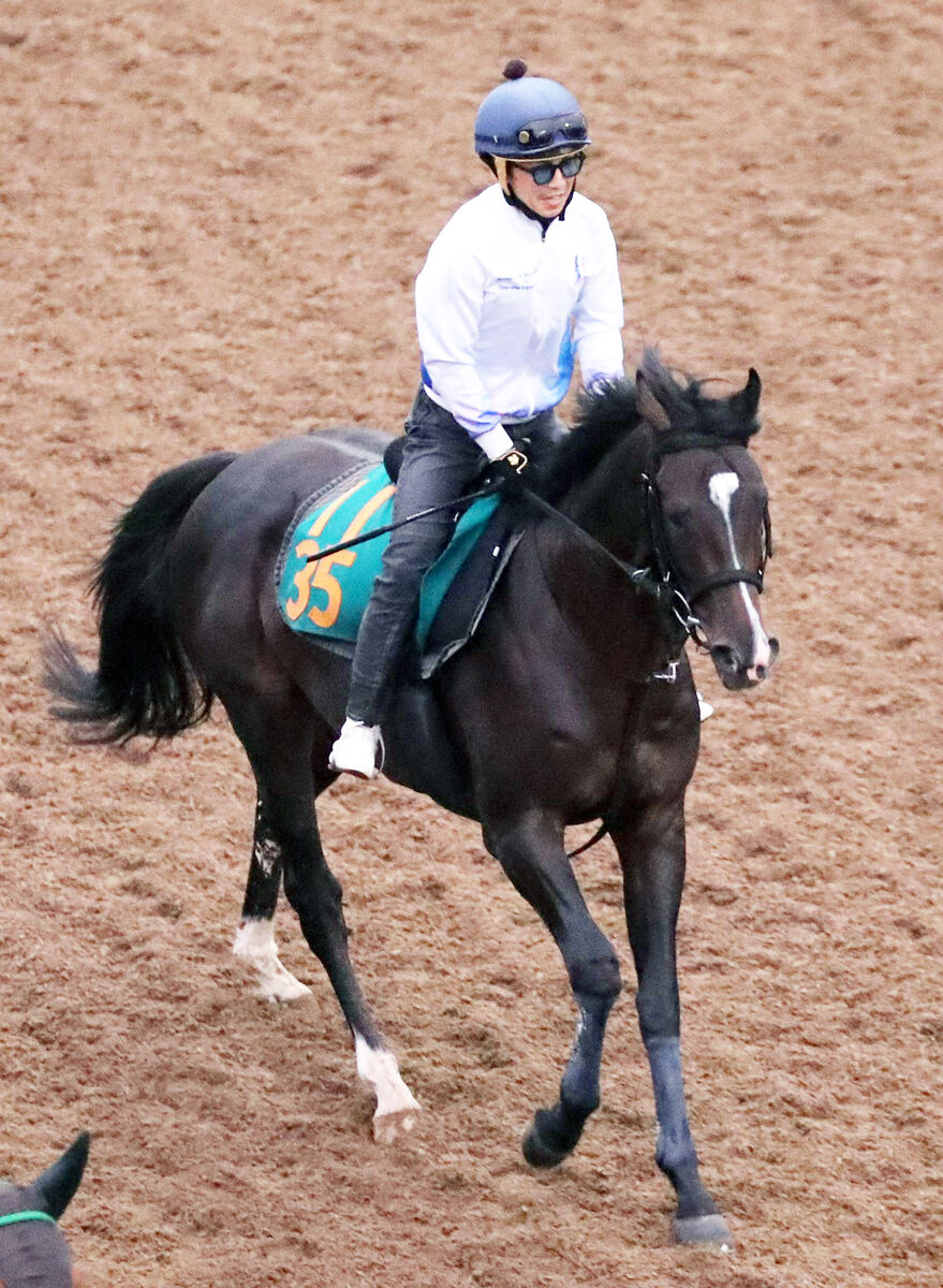 【ＰＯＧ】血統馬ウインオアシスが９・２９中山デビューを視野　香港Ｇ１を２勝のウインブライトの半弟