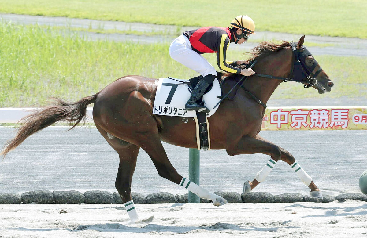 【中京４Ｒ・２歳新馬】トリポリタニアがルヴァンスレーヴ産駒初勝利　岩田望来騎手「まだ良くなってくる」