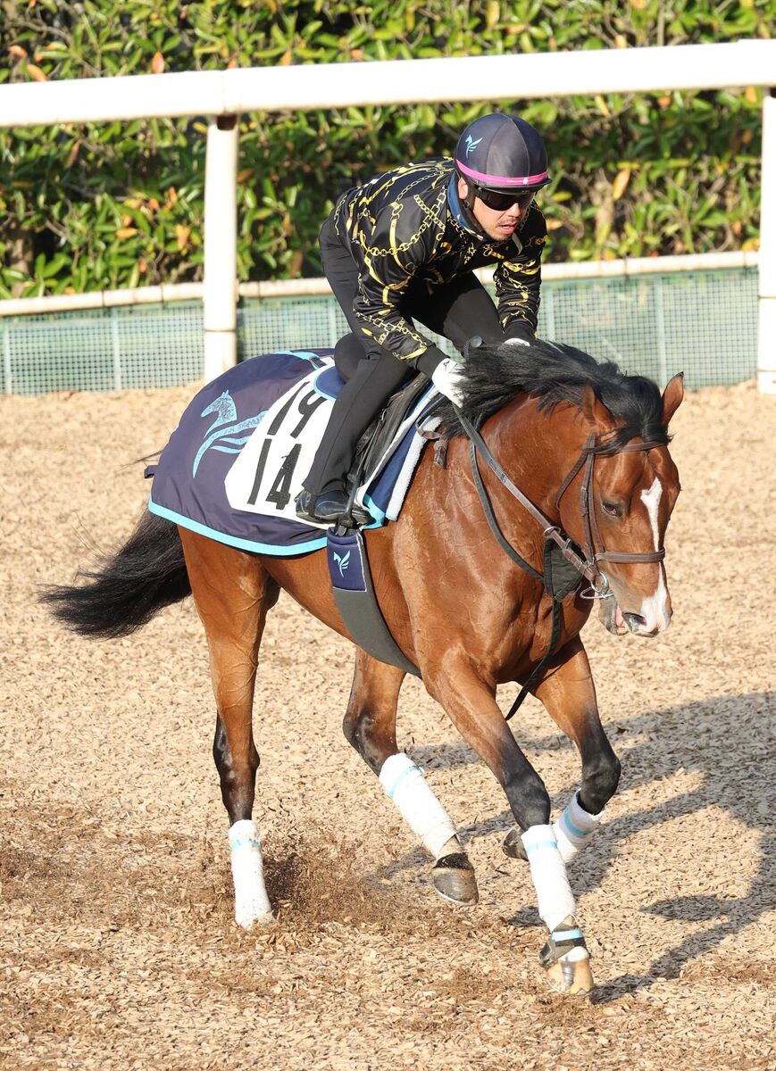 土曜中京競馬場の注目激走馬…中京１１Ｒエニフステークス（Ｌ）