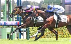 【中山５Ｒ・２歳新馬】夏の北海道で重賞２勝の佐々木大輔騎手が新馬を連勝　ハードワーカーで逃走Ｖ