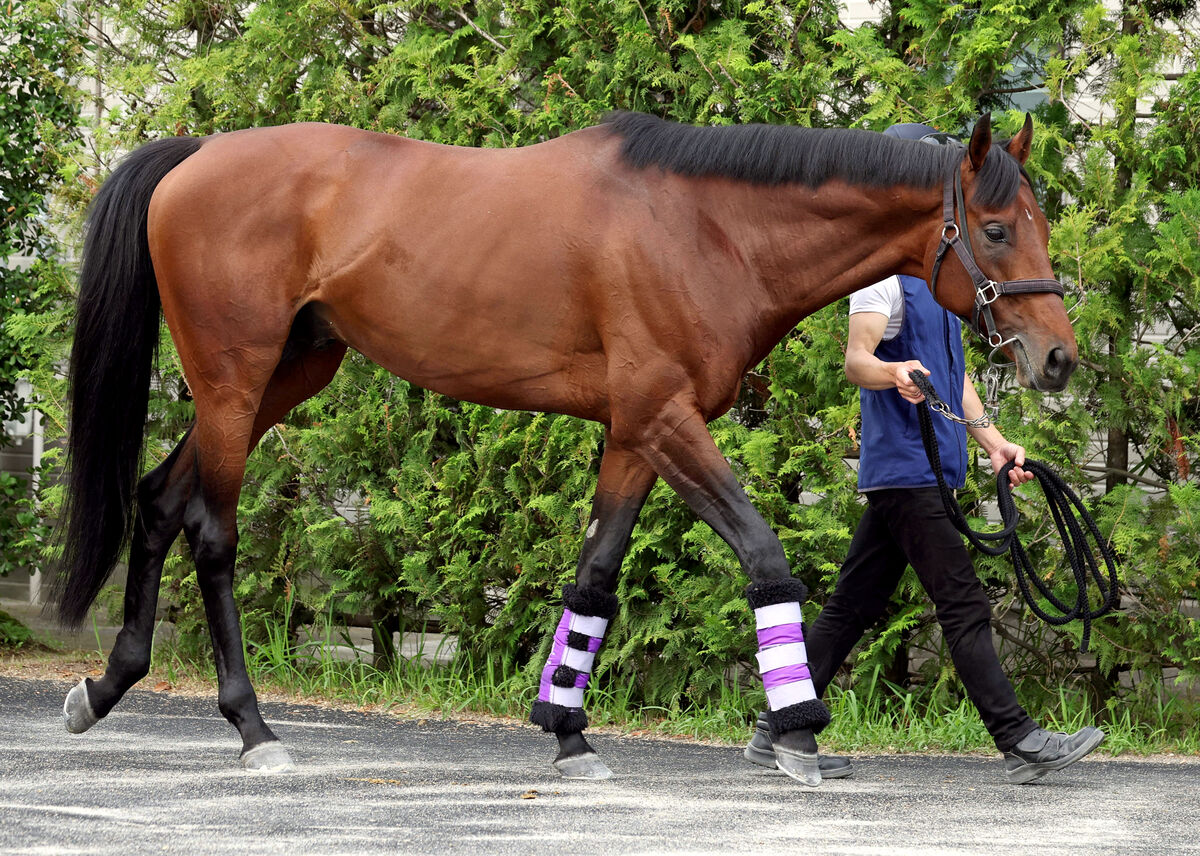 【注目馬動向】昨年の目黒記念の勝ち馬ヒートオンビートが美浦・青木厩舎に転厩　障害転向を目指す