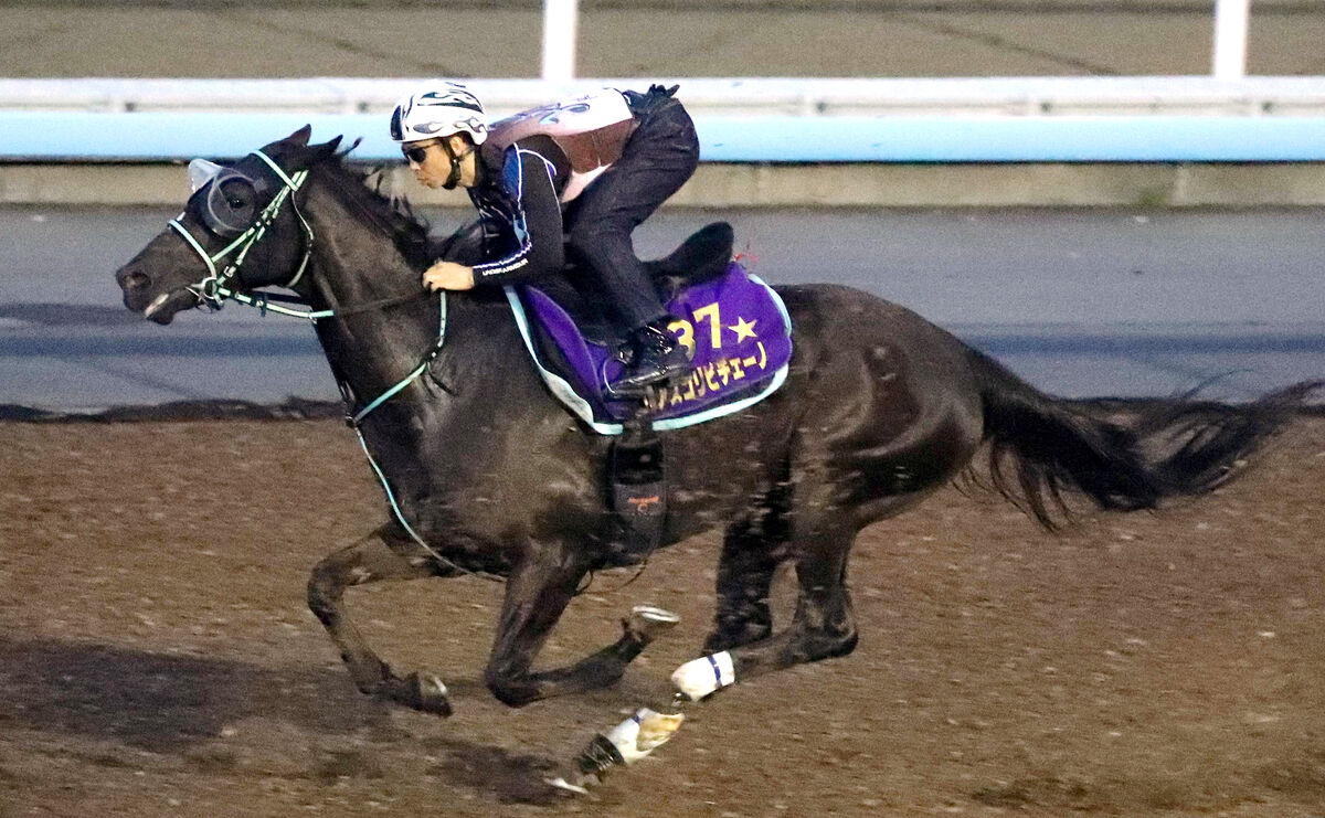 【京成杯ＡＨ】単勝１・７倍アスコリピチェーノ　２番人気は逆転で夏のマイル王狙う一頭　前日オッズ発表