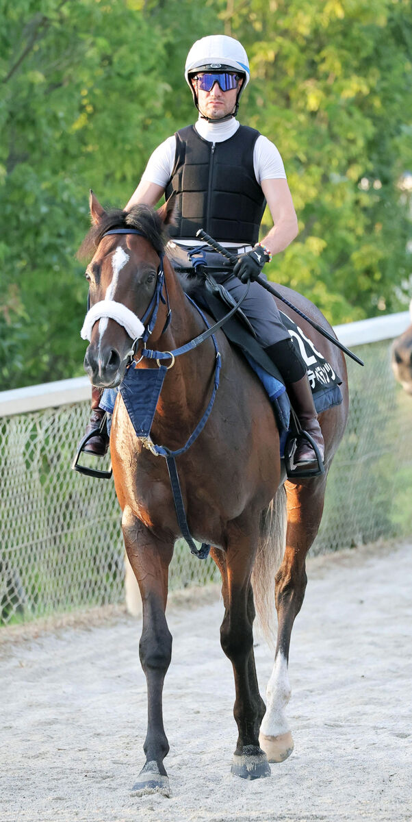 日曜中山競馬場の注目激走馬…中山１１Ｒ京成杯オータムハンデキャップ・Ｇ３