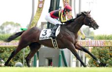 【中京５Ｒ・２歳新馬】叔父は２歳Ｇ１馬　ゲルチュタール快勝に坂井瑠星騎手「伸びしろのある馬」