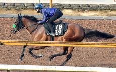 【ローズＳ・ヤマタケの特注馬】杉山晴調教師が「チャンスは１回」　素質馬オーロラエックスに漂う勝負気配