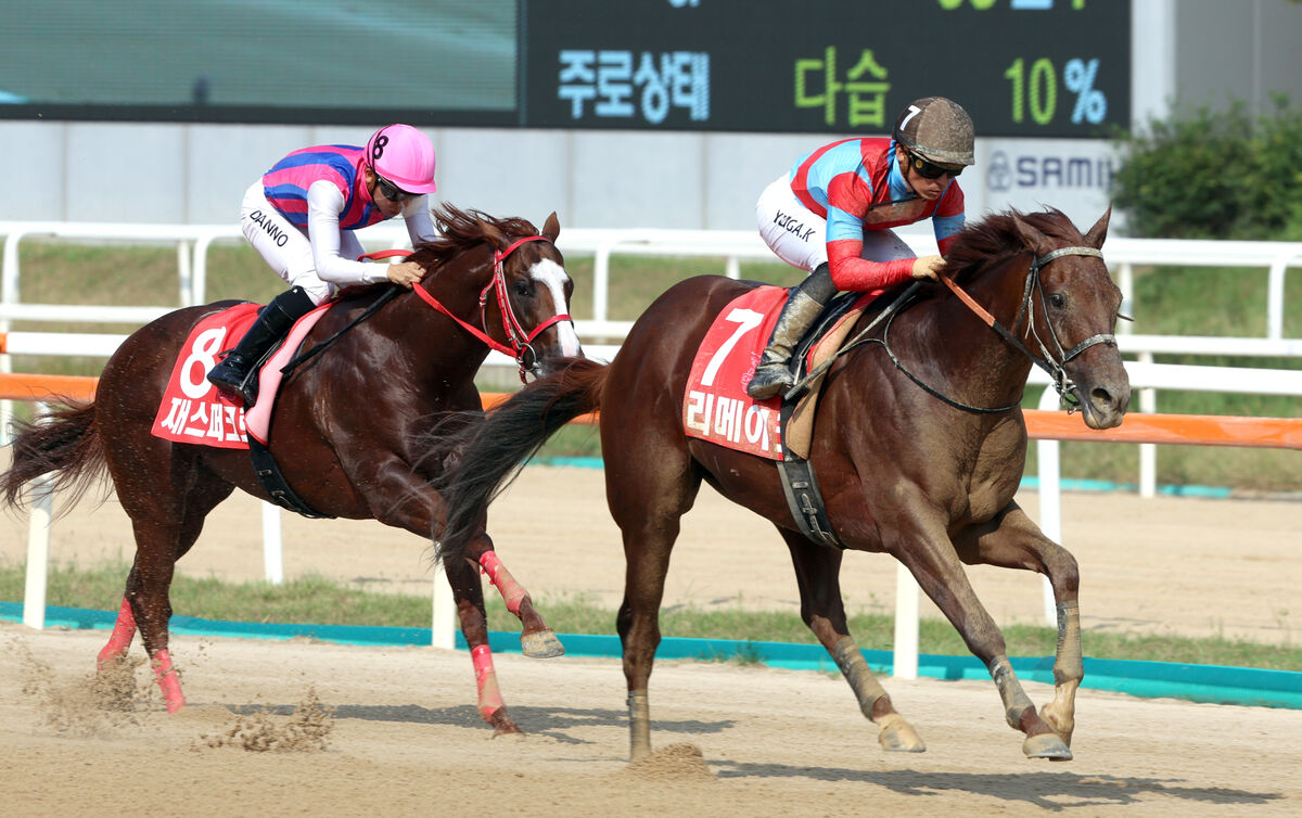 【コリアスプリント】リメイクがレース史上初の連覇達成　ドバイ以来の実戦で海外重賞３勝目