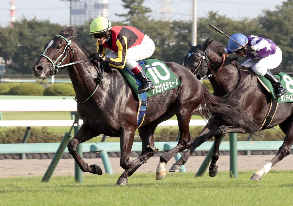 【京成杯ＡＨ】昨年の２歳女王アスコリピチェーノが着差以上の完勝　阪神ＪＦ以来の重賞３勝目