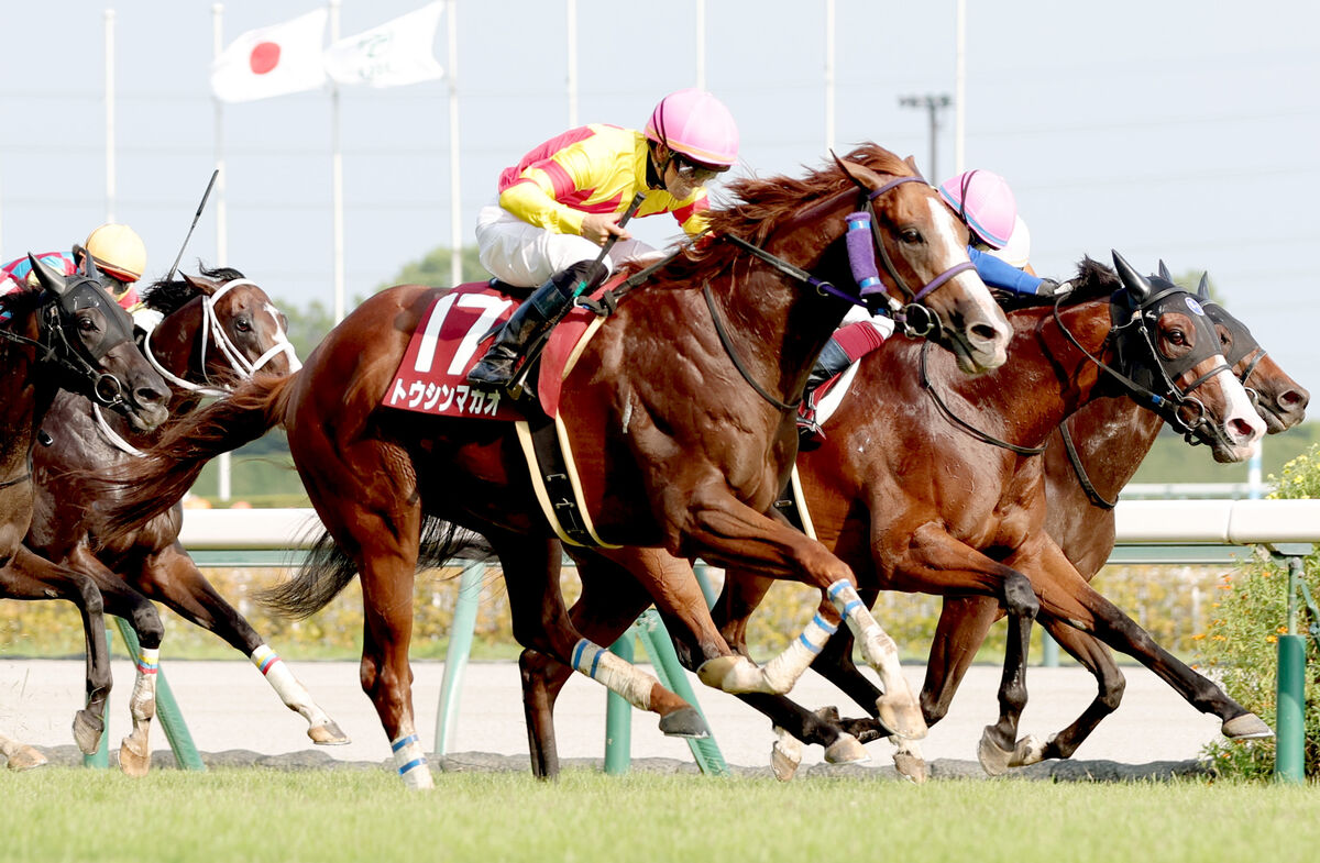 【セントウルＳ】トウシンマカオがゴール前強襲Ｖ　菅原明良騎手「まださらに良くなる。本番も頑張りたい」