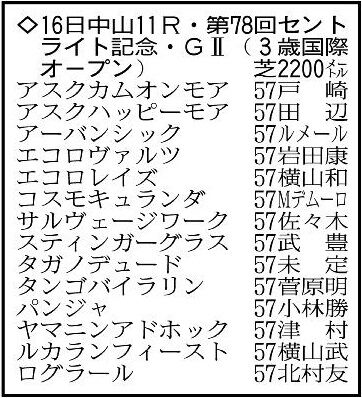 【セントライト記念展望】コスモキュランダが中心…王道路線で崩れぬ地力はこのメンバーでは一枚上の存在