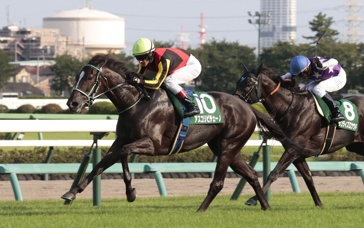 【京成杯ＡＨ】アスコリピチェーノがエルプス以来３歳牝馬３９年ぶりＶ　今後は豪１着５億円レースへの参戦も視野