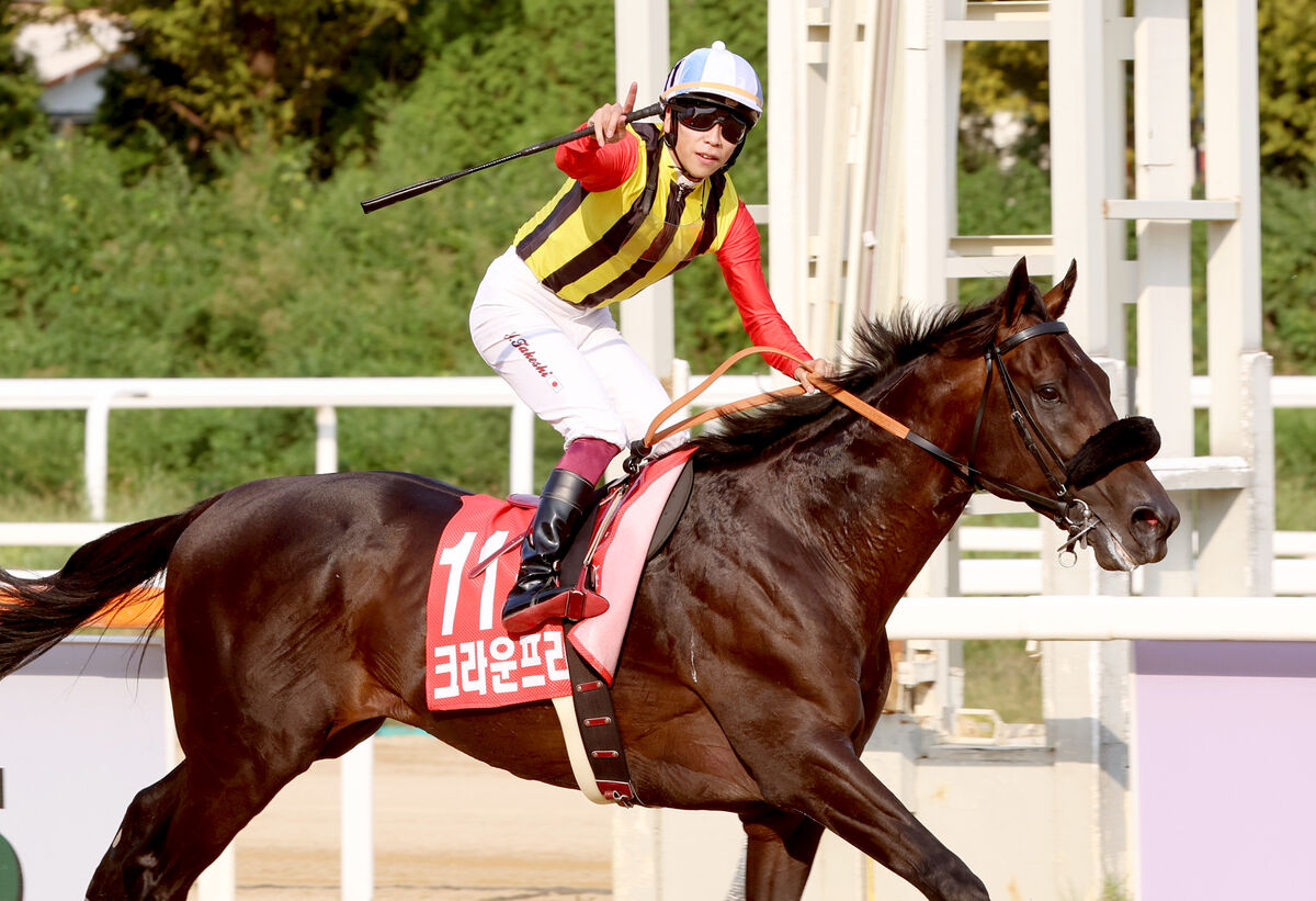 韓国国際競走でクラウンプライドがコリアＣ、リメイクがコリアスプリント連覇　２レースとも日本馬ワンツー決着