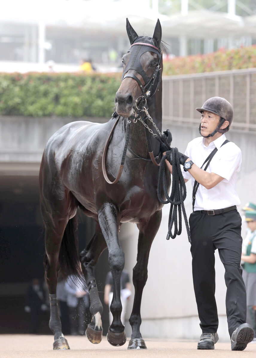 【ローズＳ】カニキュルが夏を越し急成長　菊沢調教師「体と気持ちのバランスが整いつつある」