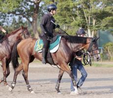 【注目馬動向】札幌２歳Ｓ５着のレーヴドロペラは芙蓉Ｓへ