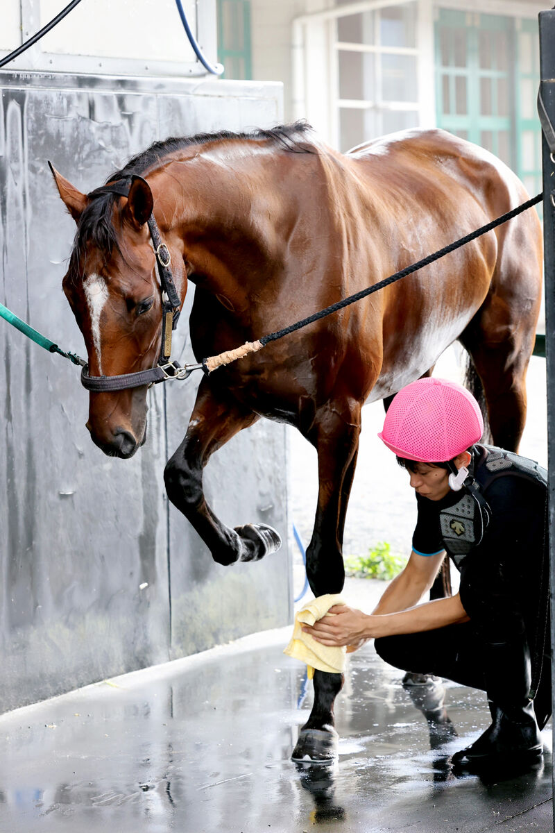 【ローズＳ】１勝馬のレディーヴァリューが一発ムード　小林調教師「骨折明けを１回使ってすごく良くなっています」