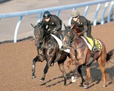 【セントライト記念】皐月賞２着馬はＷコースで鋭く先着　加藤士調教師「いい調教ができた」