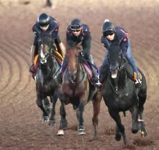 【ローズＳ】初の牝馬限定戦も万全の態勢「負けられない」ホープフルＳ覇者　ここは通過点だ