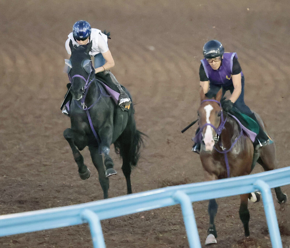 【セントライト記念】ルカランフィーストが自己ベストを２秒９更新　秋迎え覚醒の予感　横山武と菊花賞切符つかむ