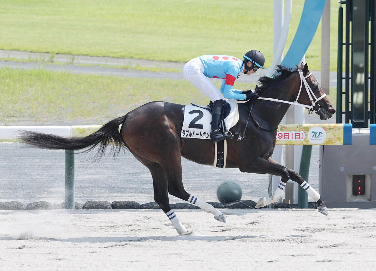 【注目馬動向】砂の大器候補、圧勝続きのダブルハートボンドが骨折　全治３か月