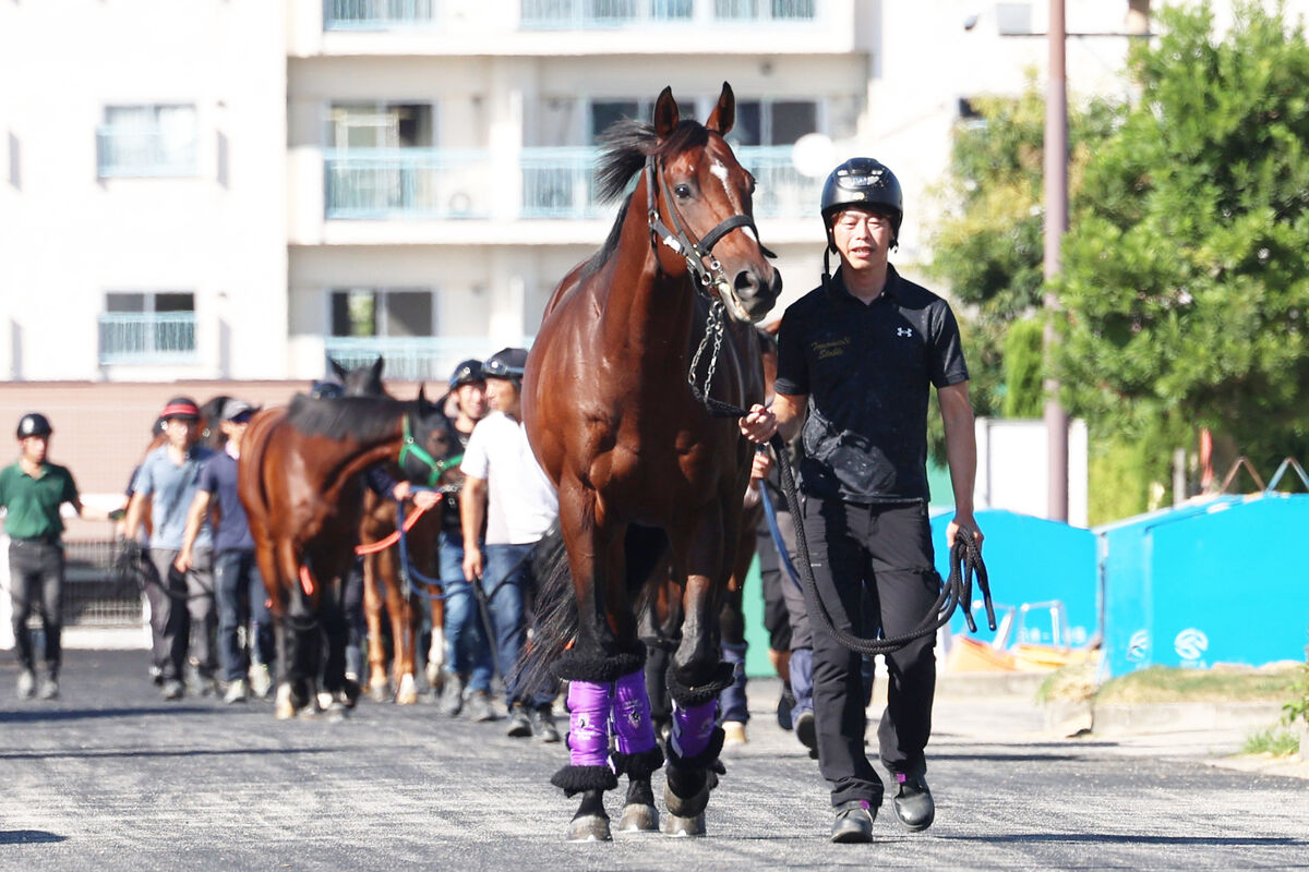 【注目馬動向】ドウデュースがラストシーズン始動戦の天皇賞・秋へ帰厩　友道調教師「暑さはこたえていなかった」