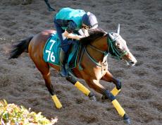 【ＰＯＧ】軽快な動きをみせるピリナマアナ　鮫島克駿騎手「この時期にデビューできるのはいいですね」