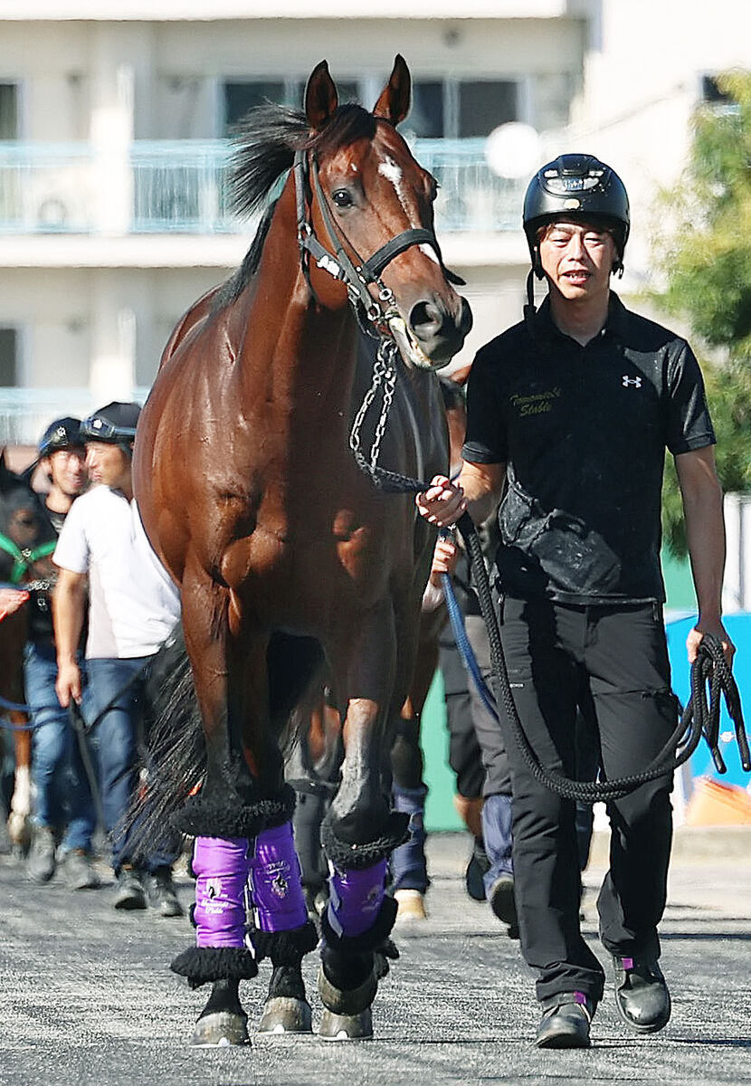 【注目馬動向】ドウデュースが栗東でラストシーズンへ始動　友道調教師「元気が有り余っていますね」