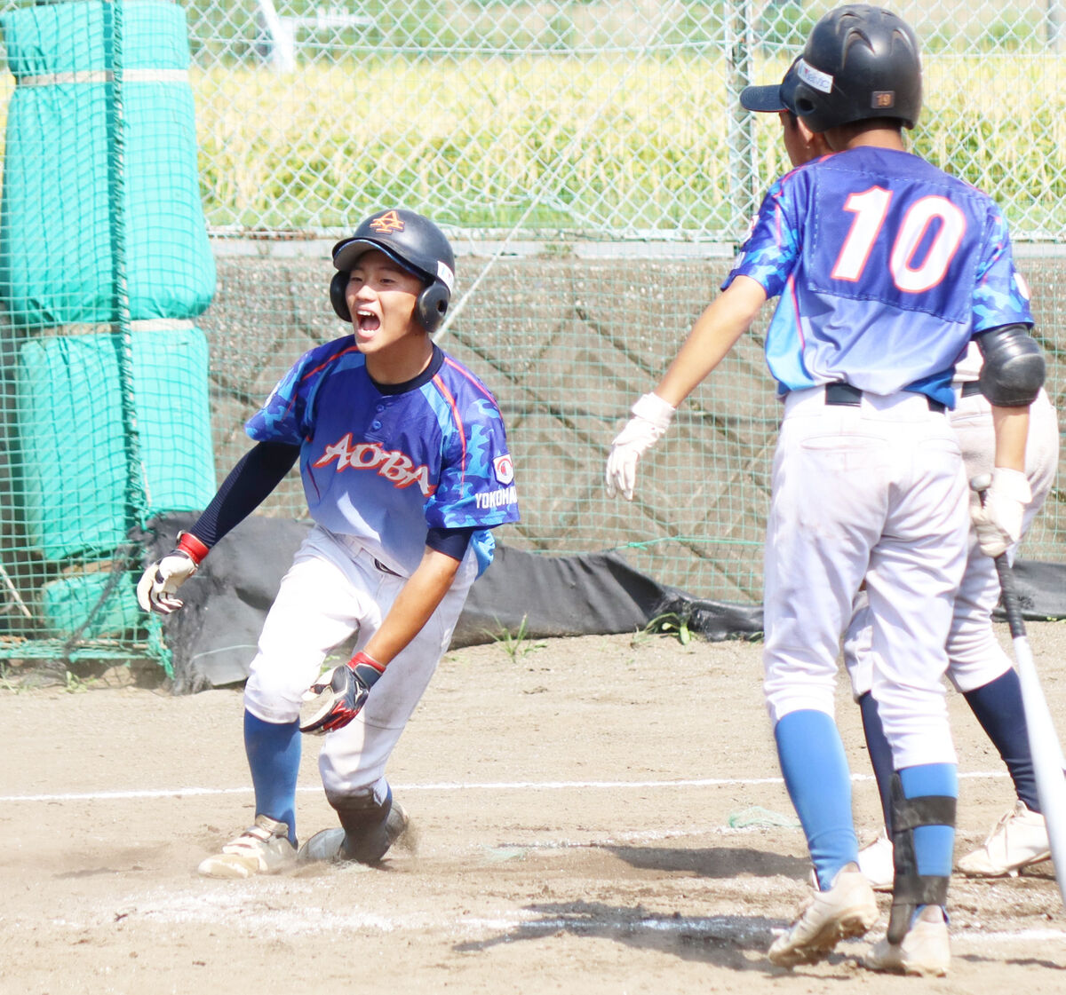 横浜青葉ボーイズ、接戦制した…東日本選抜大会支部予選