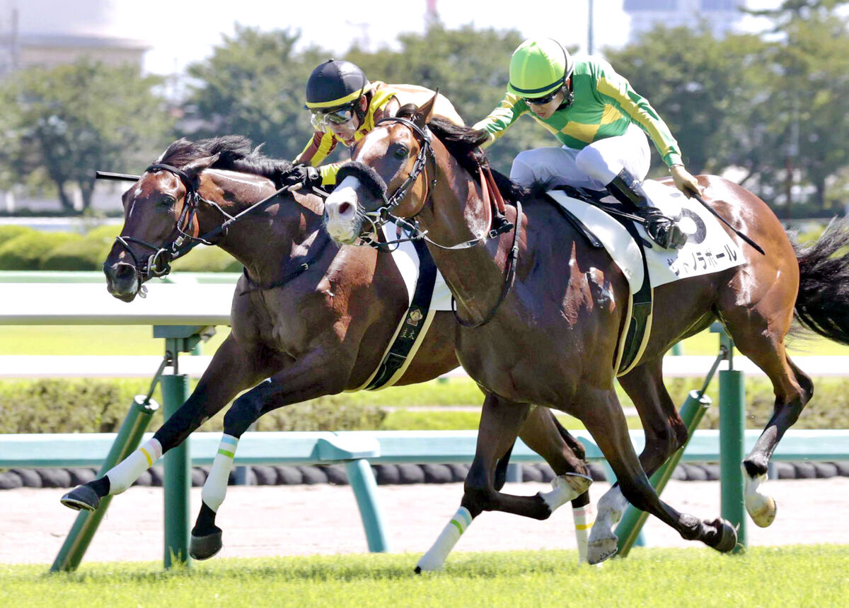 【中山５Ｒ・２歳新馬】激しい一騎打ちを制したイブニングタイドが頭差Ｖ　戸崎圭太騎手「芝で上手に走れました」