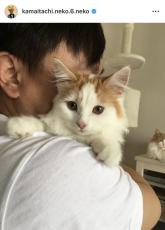 かまいたち山内、愛猫が息を引き取り「我が家にはもう猫ちゃんが居ません」近年立て続けに愛猫が死去