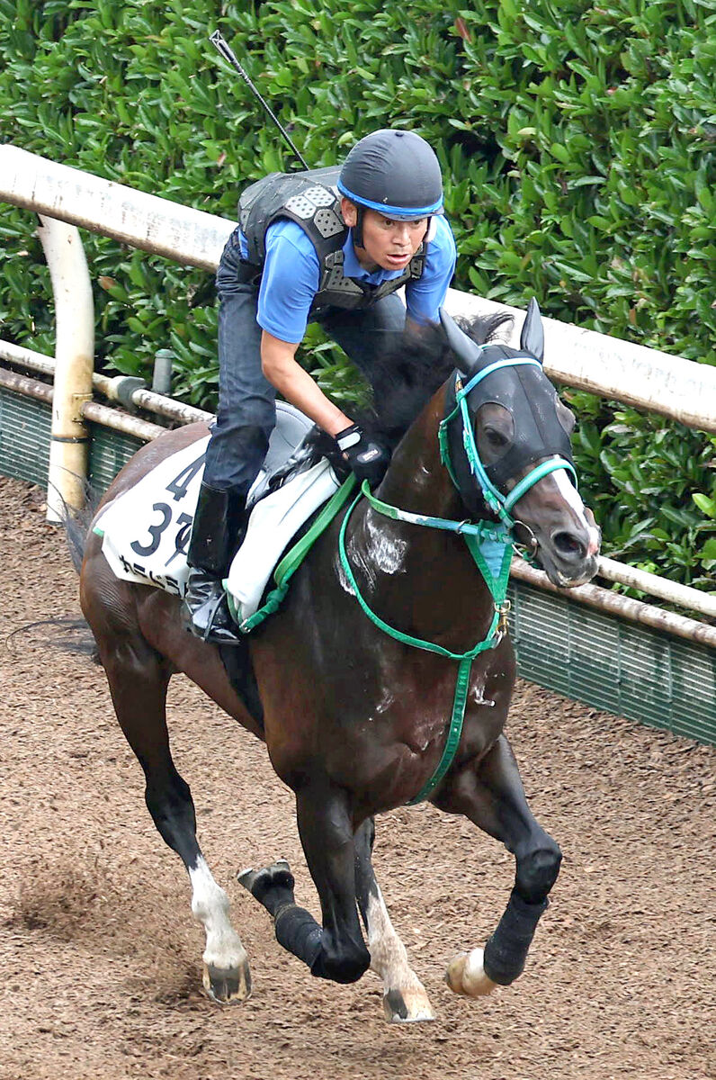 ２１年京成杯オータムハンデ覇者のカテドラルが競走馬登録抹消　今後は珠洲ホースパークで乗馬へ