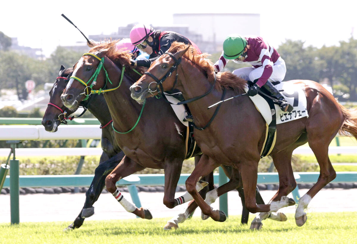 【中山２Ｒ・２歳未勝利】ヤコブセンが５戦目で初勝利！　親子でＶの斎藤新騎手「鮫島克駿騎手と一丸になっての勝利」